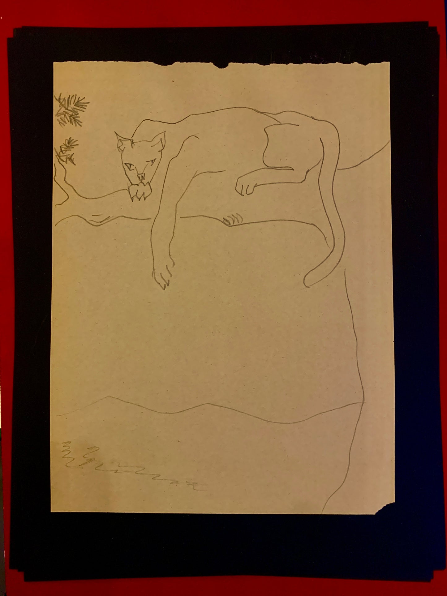 Cougar on a Branch - sketch