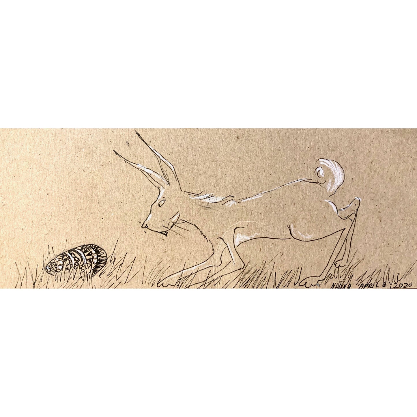 THE HARE AND THE EGG