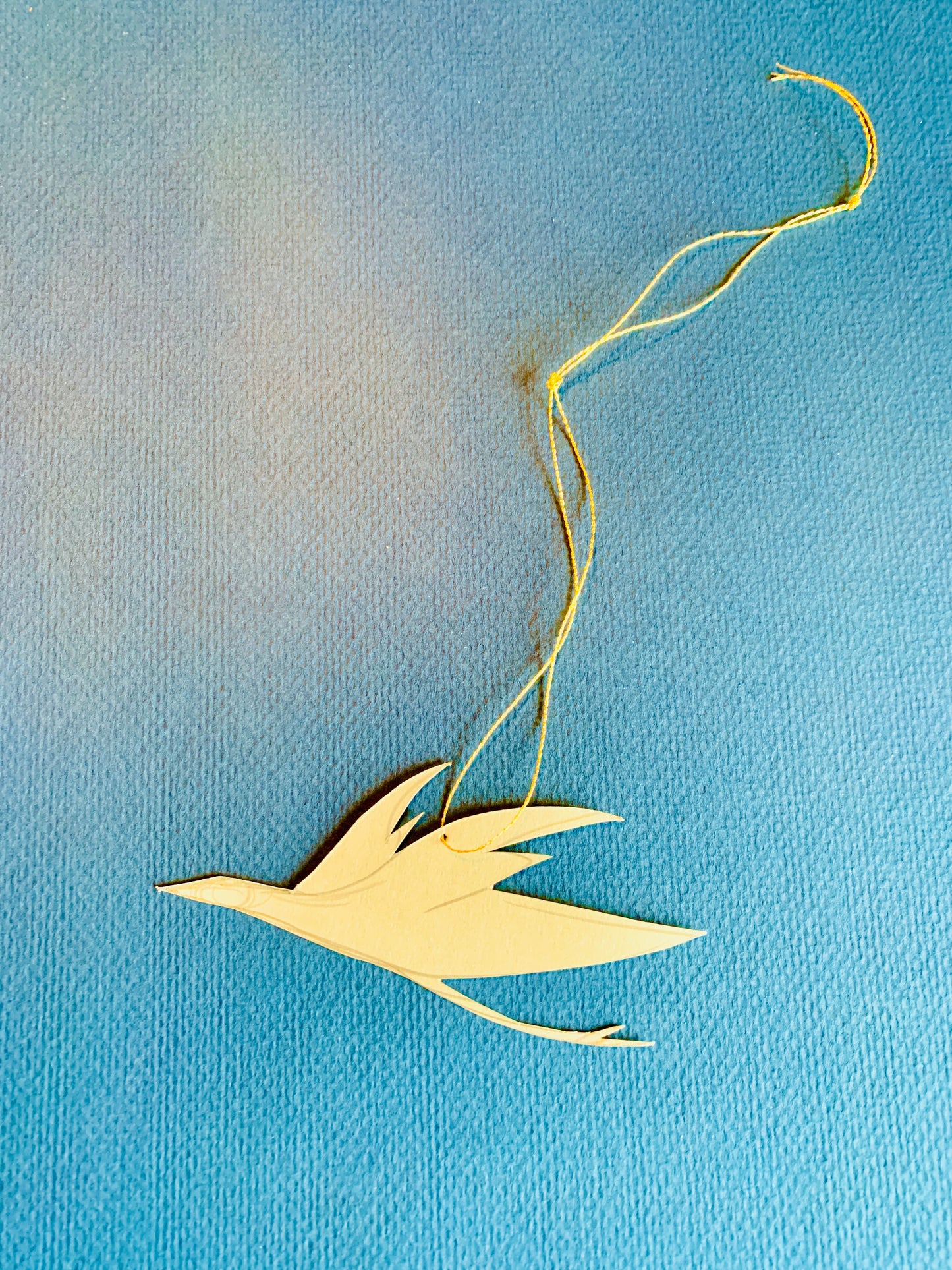 Tiny Bird
