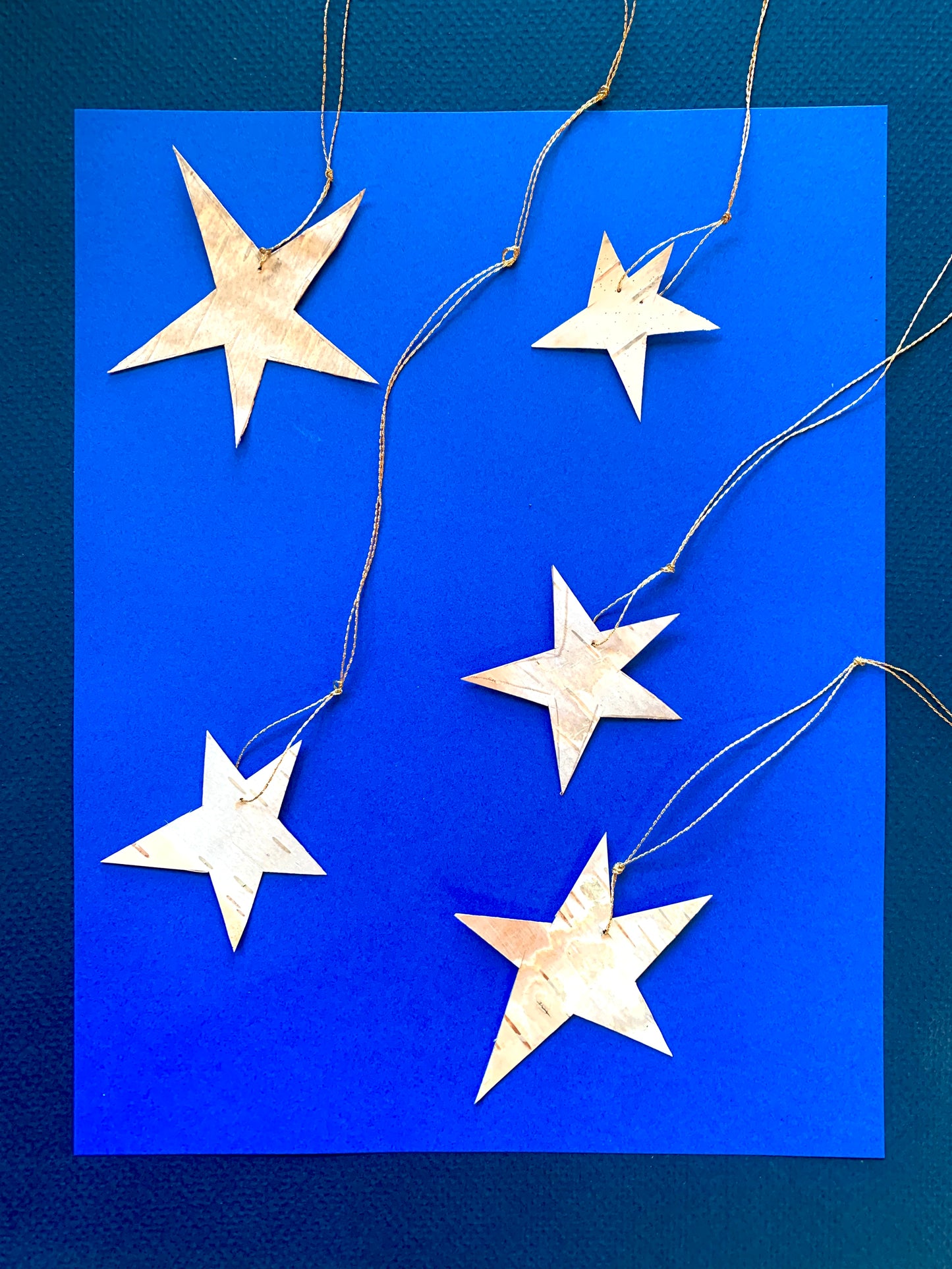 Birch Starlets with Golden Thread - 5 stars!