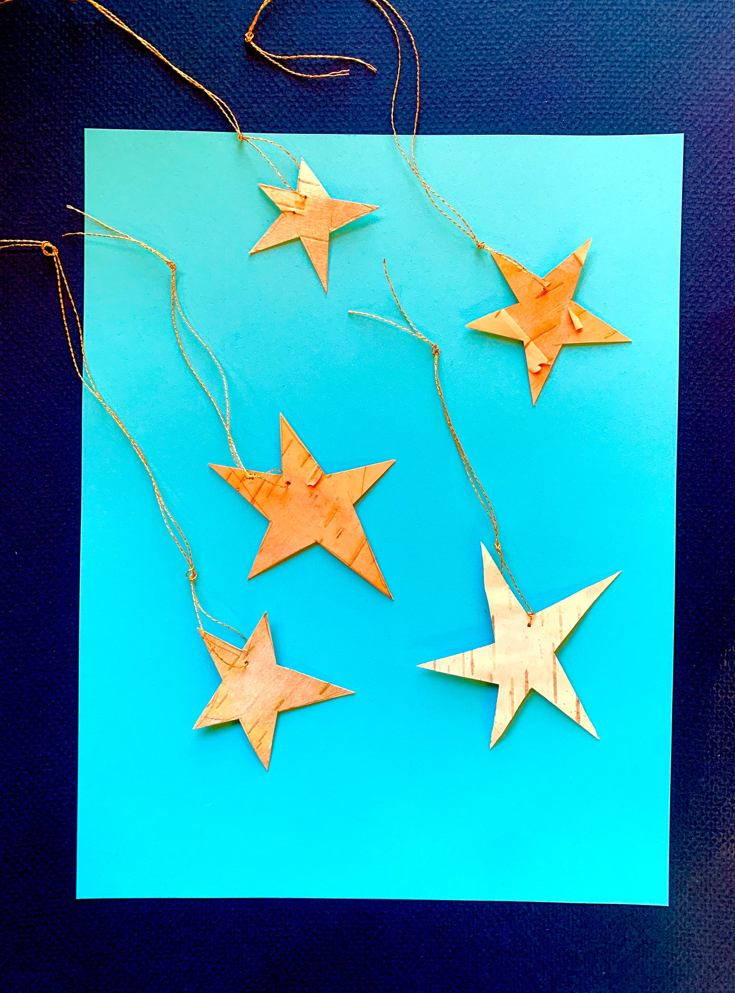 Birch Starlets with Golden Thread - 5 stars!
