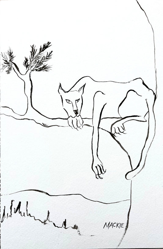 Cougar on a Branch - ink on paper