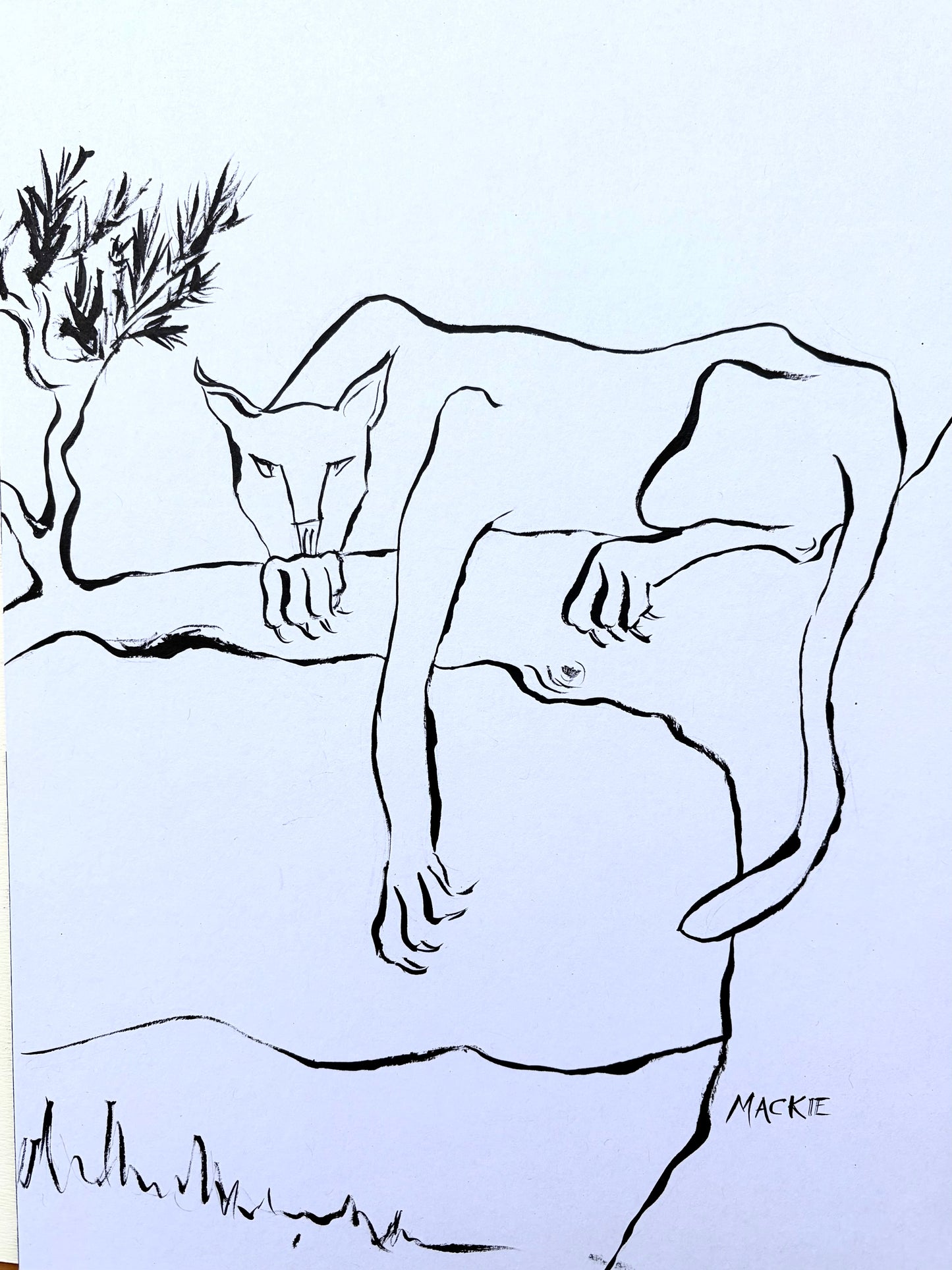 Cougar on a Branch #2 - ink on heavy board